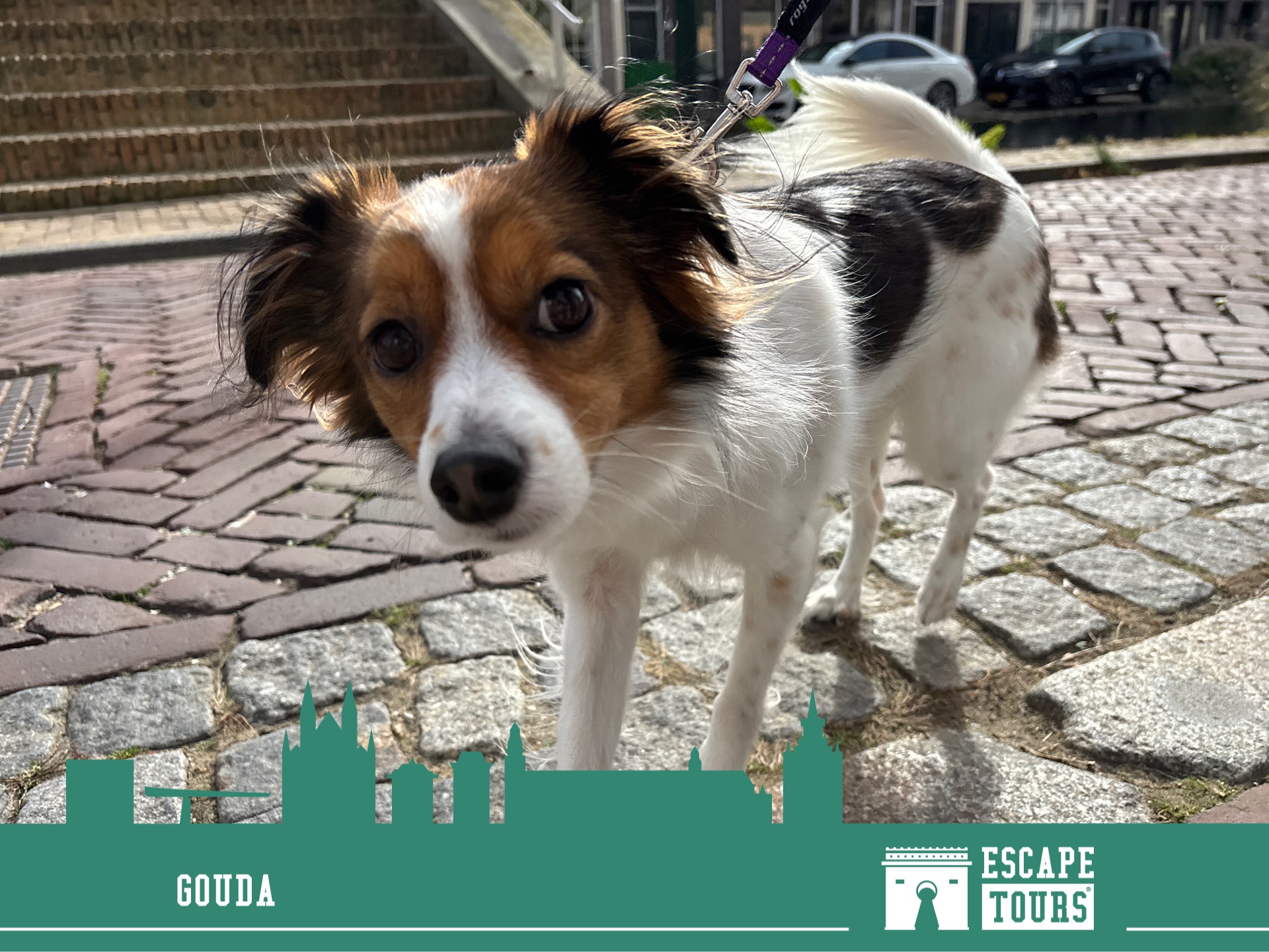 Recordtijd: practisch doorscrollen