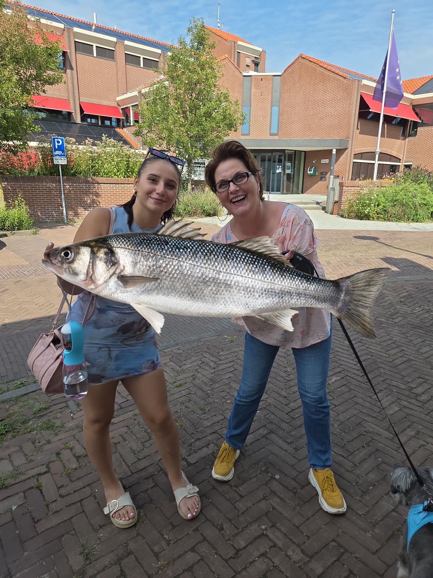 Recordtijd: Team Meda