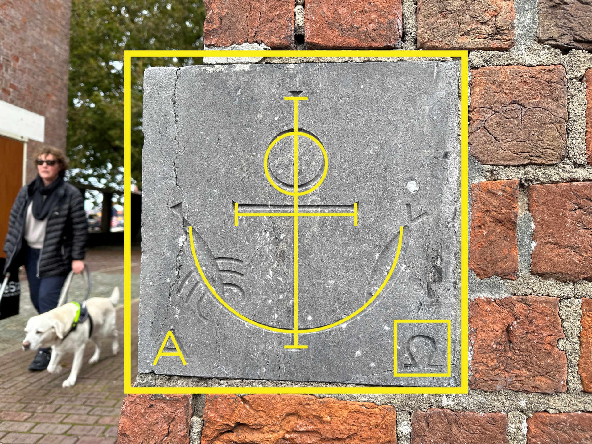 Recordtijd: Hjortene