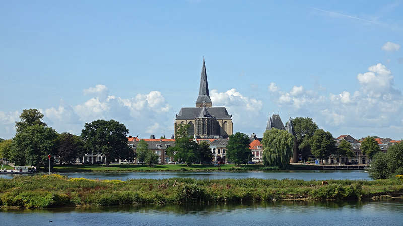 Recordtijd: De Kraanvogels