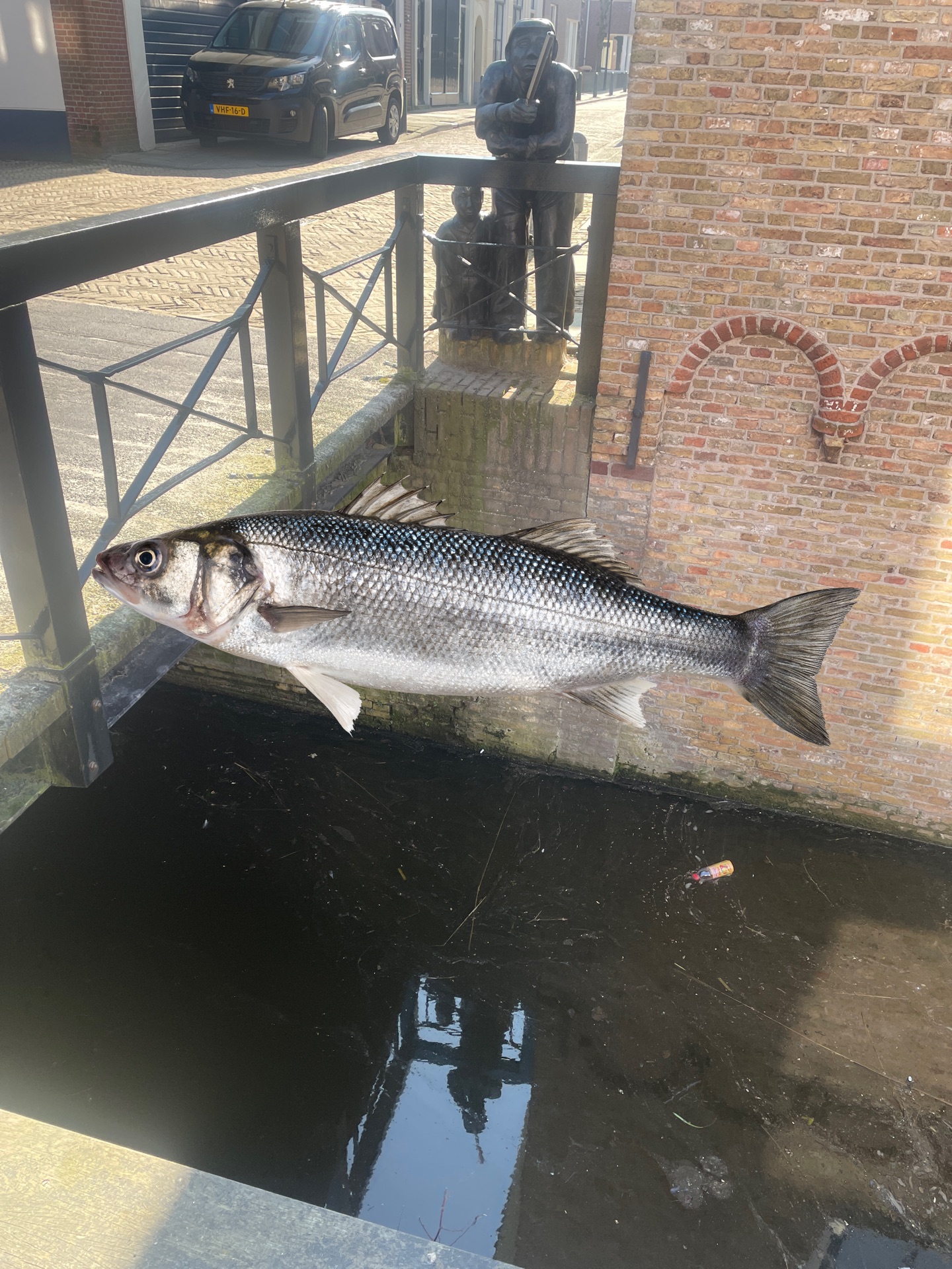 Recordtijd: Ditjes&Datjes