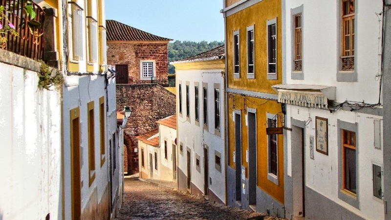 Recordtijd: Die Orangenstörche