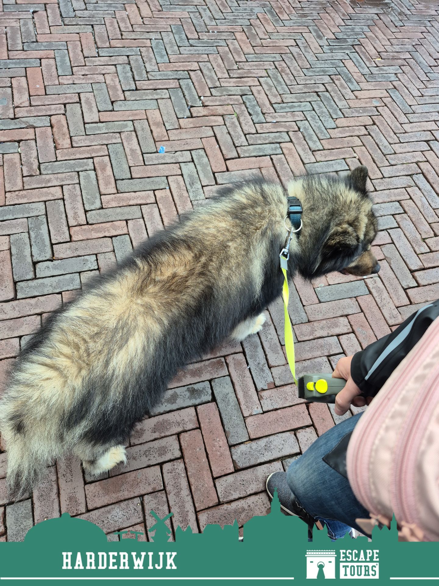 Recordtijd: MarvinLinaNouki