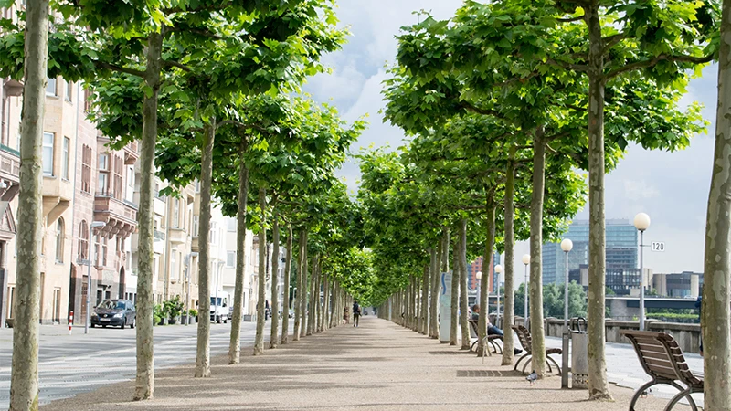 Düsseldorf Photo 2