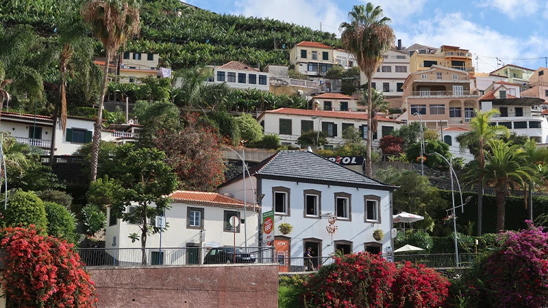 Madeira photo 1