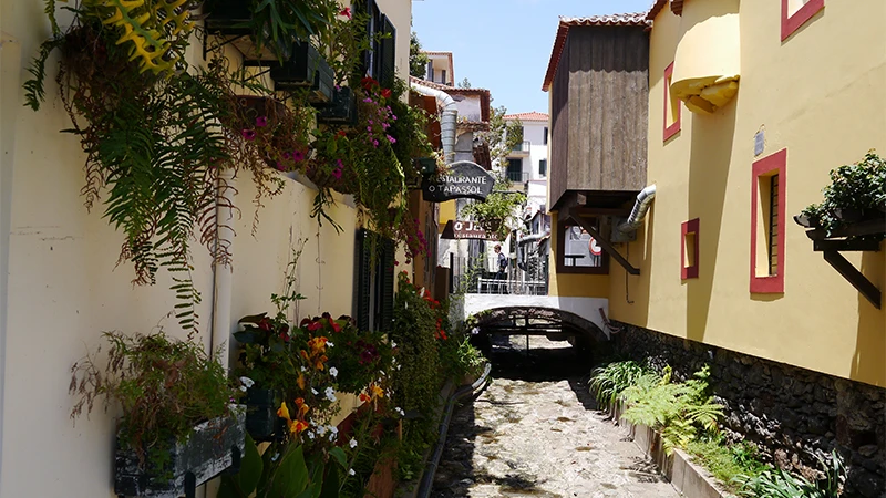 Madeira photo 2